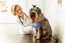 Преимущества Преимущества